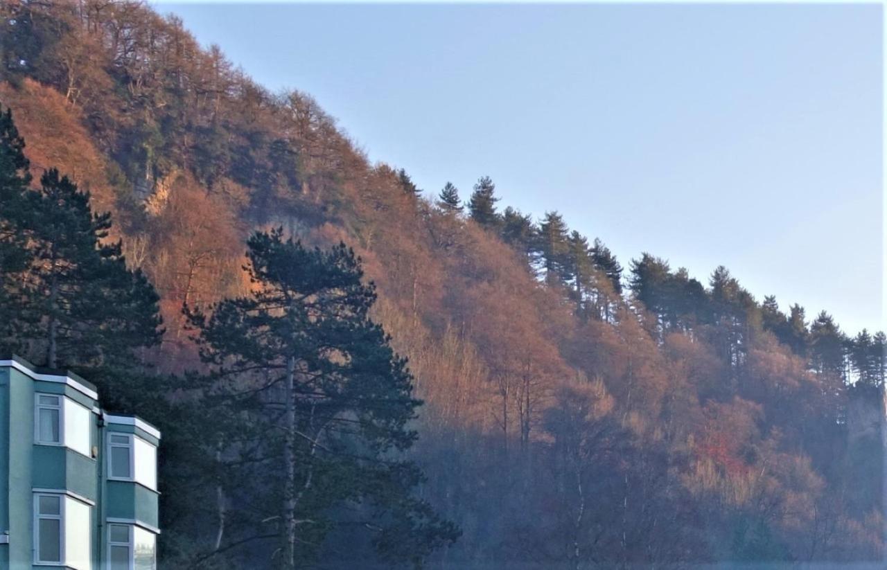 Wye Rapids House Bed & Breakfast Symonds Yat Luaran gambar
